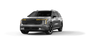 new carnival màu xám